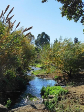 Villa by the river facing the Hermon in Dafna